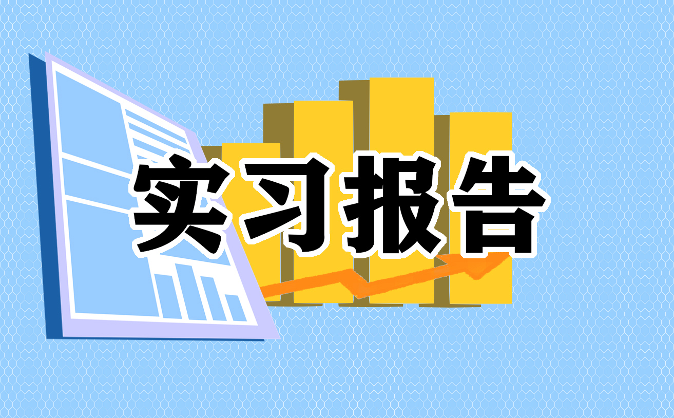 保险综合实训报告心得体会